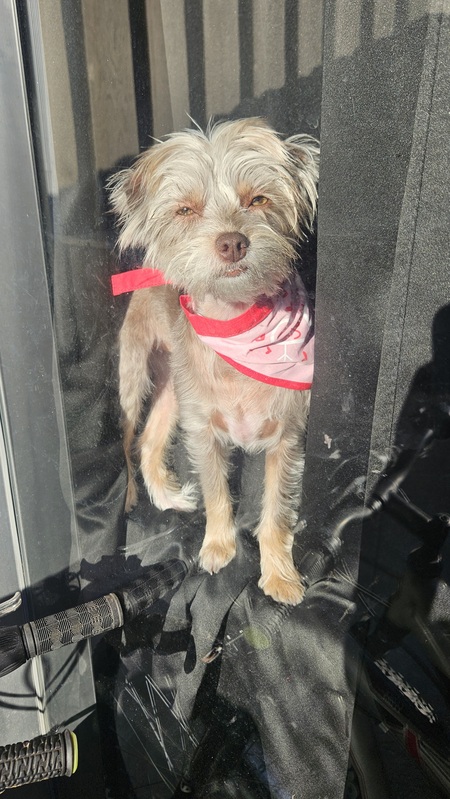 Entry image for Icyy. Clicking this image will show a larger photo