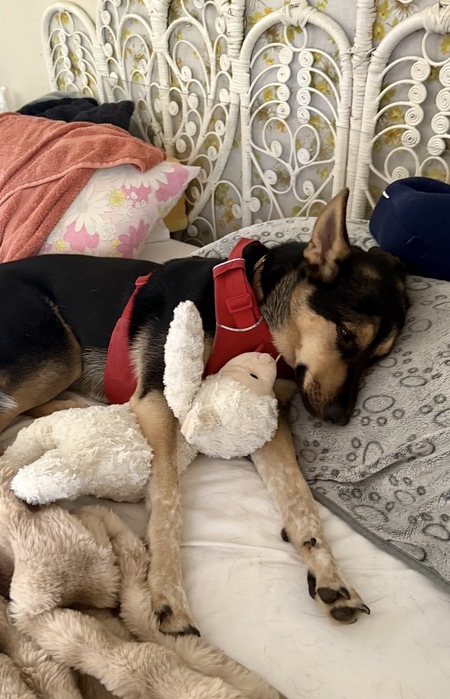 Entry image for Sami Stewart. Clicking this image will show a larger photo