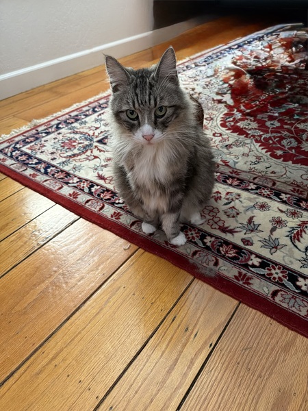 Entry image for Doris Day. Clicking this image will show a larger photo