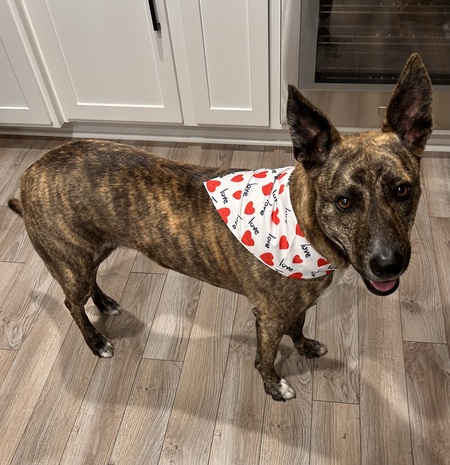 Entry image for London. Clicking this image will show a larger photo