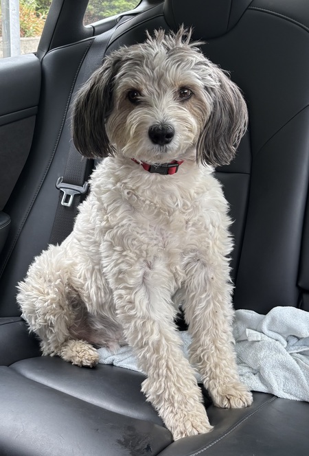 Entry image for Jack. Clicking this image will show a larger photo