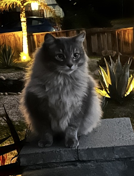 Entry image for B.K.. Clicking this image will show a larger photo