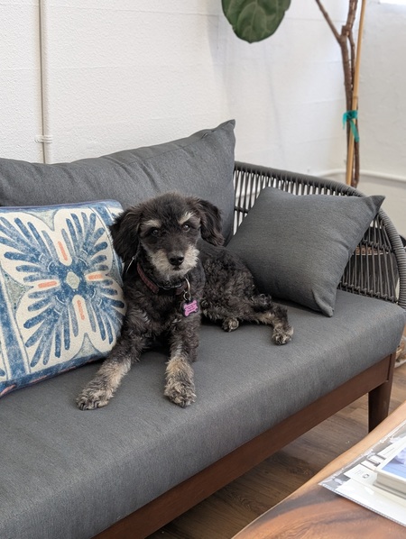 Entry image for Charlie. Clicking this image will show a larger photo