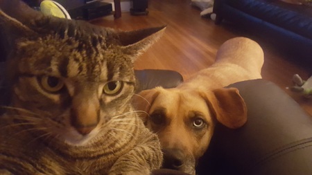 Entry image for Rosie and Lucy. Clicking this image will show a larger photo