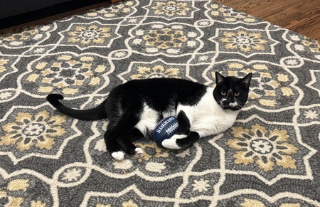 Entry image for Sheila. Clicking this image will show a larger photo