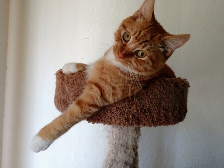 Entry image for Atlanta. Clicking this image will show a larger photo