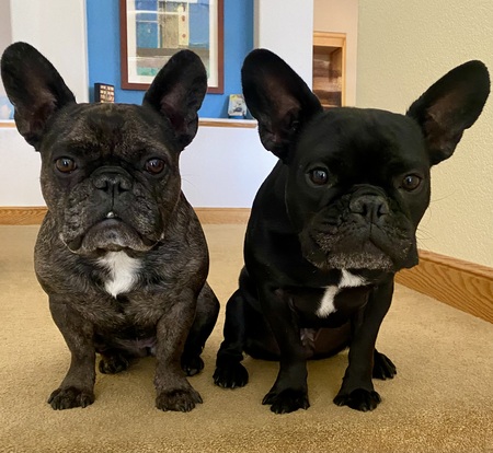 Entry image for Marchetti & Piper. Clicking this image will show a larger photo