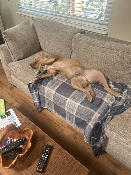 Entry image for Tanner. Clicking this image will show a larger photo