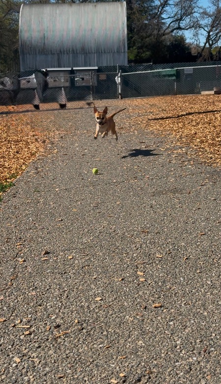 Entry image for Serene. Clicking this image will show a larger photo