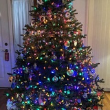 Entry image for Christmas on Bender