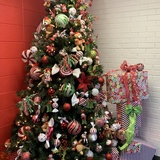 Entry image for Miracles At Arcadia School