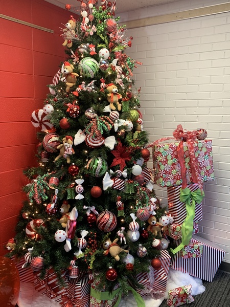 Entry image for Miracles At Arcadia School. Clicking this image will show a larger photo