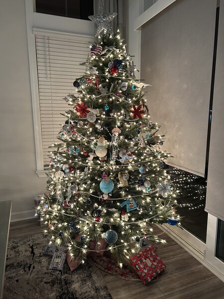 Entry image for Myrtle Beach Christmas. Clicking this image will show a larger photo