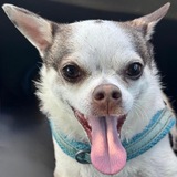 Entry image for Larry