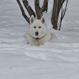 Entry image for Donte