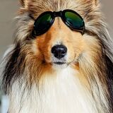 Entry image for Stanley