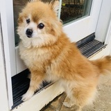 Entry image for Dots (aka Dot Dot)