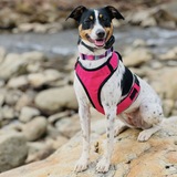 Entry image for Oakley