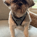 Entry image for Chester