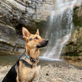 Entry image for Cleopatra