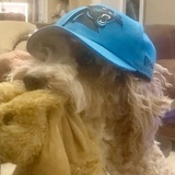 Entry image for Maggie May