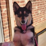 Entry image for CoCo Chanel 