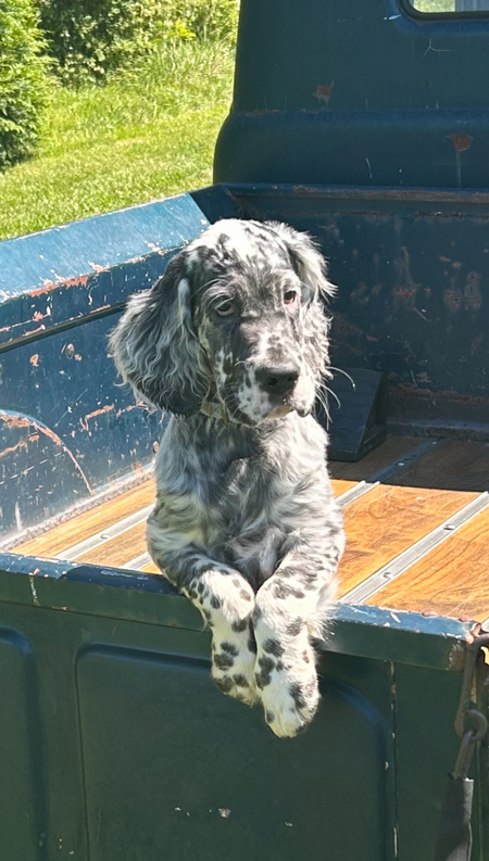 Entry image for Jeb. Clicking this image will show a larger photo