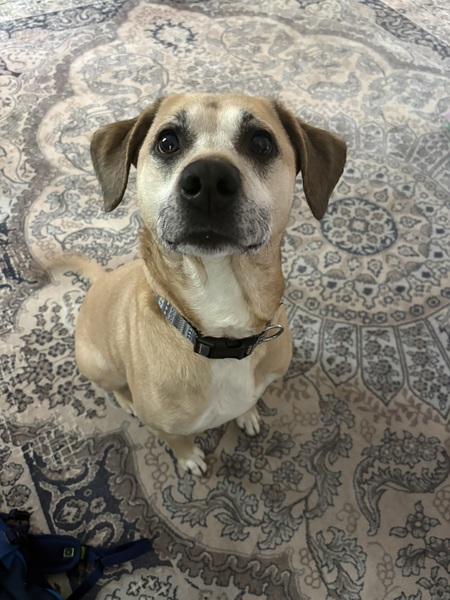 Entry image for Marley DaMarMar Dewyer. Clicking this image will show a larger photo