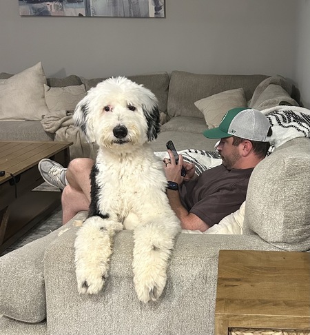 Entry image for Stuart . Clicking this image will show a larger photo