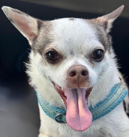 Entry image for Larry. Clicking this image will show a larger photo