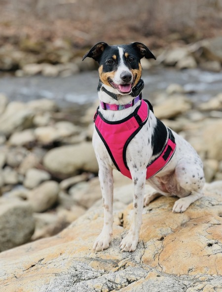 Entry image for Oakley. Clicking this image will show a larger photo