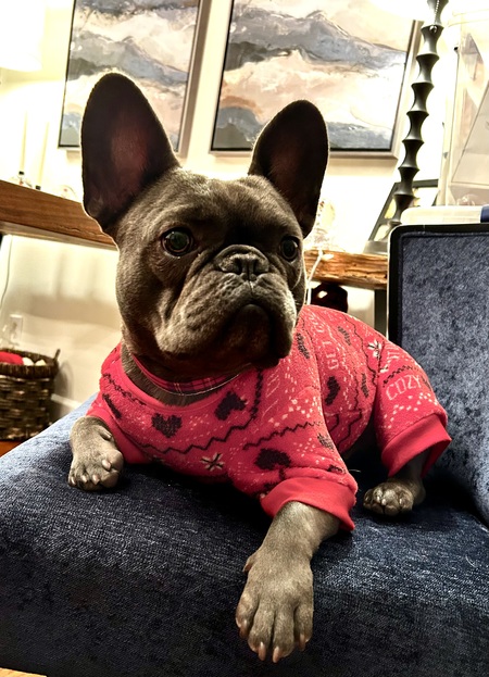 Entry image for Bob. Clicking this image will show a larger photo