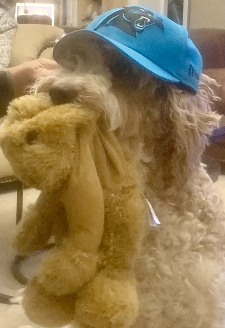 Entry image for Maggie May. Clicking this image will show a larger photo