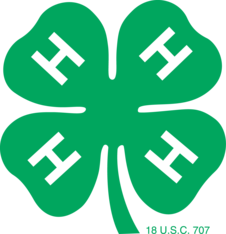 Logo for Best of 2025 Photography Contest