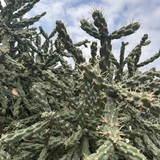 Entry image for Up close and personal