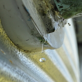 Entry image for Industrial Drip