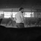 Entry image for Decisions...