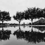 Entry image for Reflection 