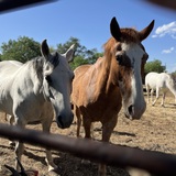 Entry image for You got a friend in me