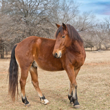 Entry image for Standing at Attention