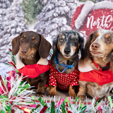 Entry image for The Three Amigos