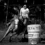 Entry image for True Grit