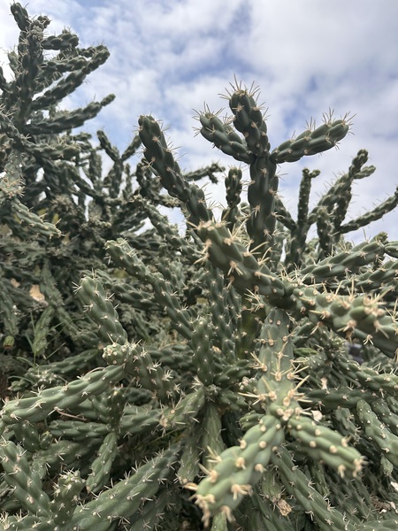 Entry image for Up close and personal. Clicking this image will show a larger photo