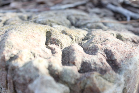 Entry image for Rock Texture. Clicking this image will show a larger photo