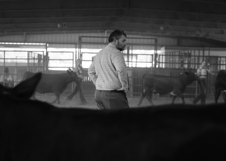 Entry image for Decisions.... Clicking this image will show a larger photo