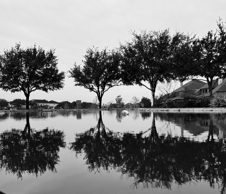 Entry image for Reflection . Clicking this image will show a larger photo