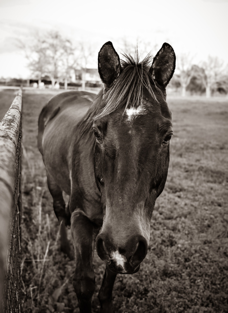 Entry image for A Gentle Approach . Clicking this image will show a larger photo