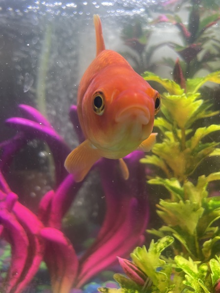 Entry image for No pouting allowed. Clicking this image will show a larger photo