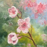 Entry image for Cherry Blossom