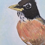 Entry image for Robin